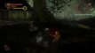 Video de combate de The Witcher 2 en HobbyNews.es