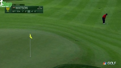 Bubba Watsons Sensational, Amazing, Incredible Shot 2015 Presidents Cup