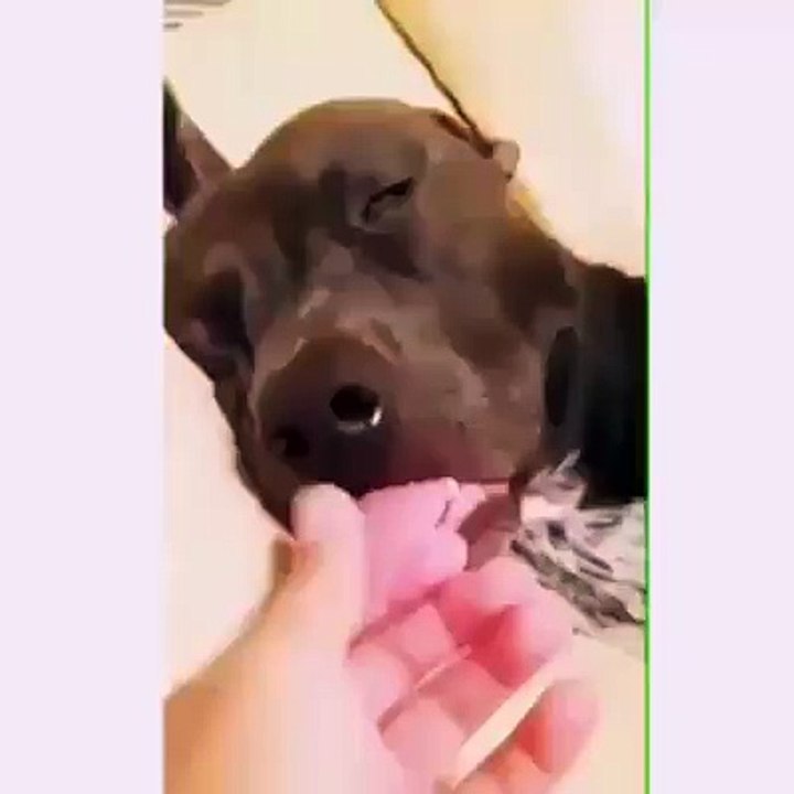 Cuando tienes el sueño profundo