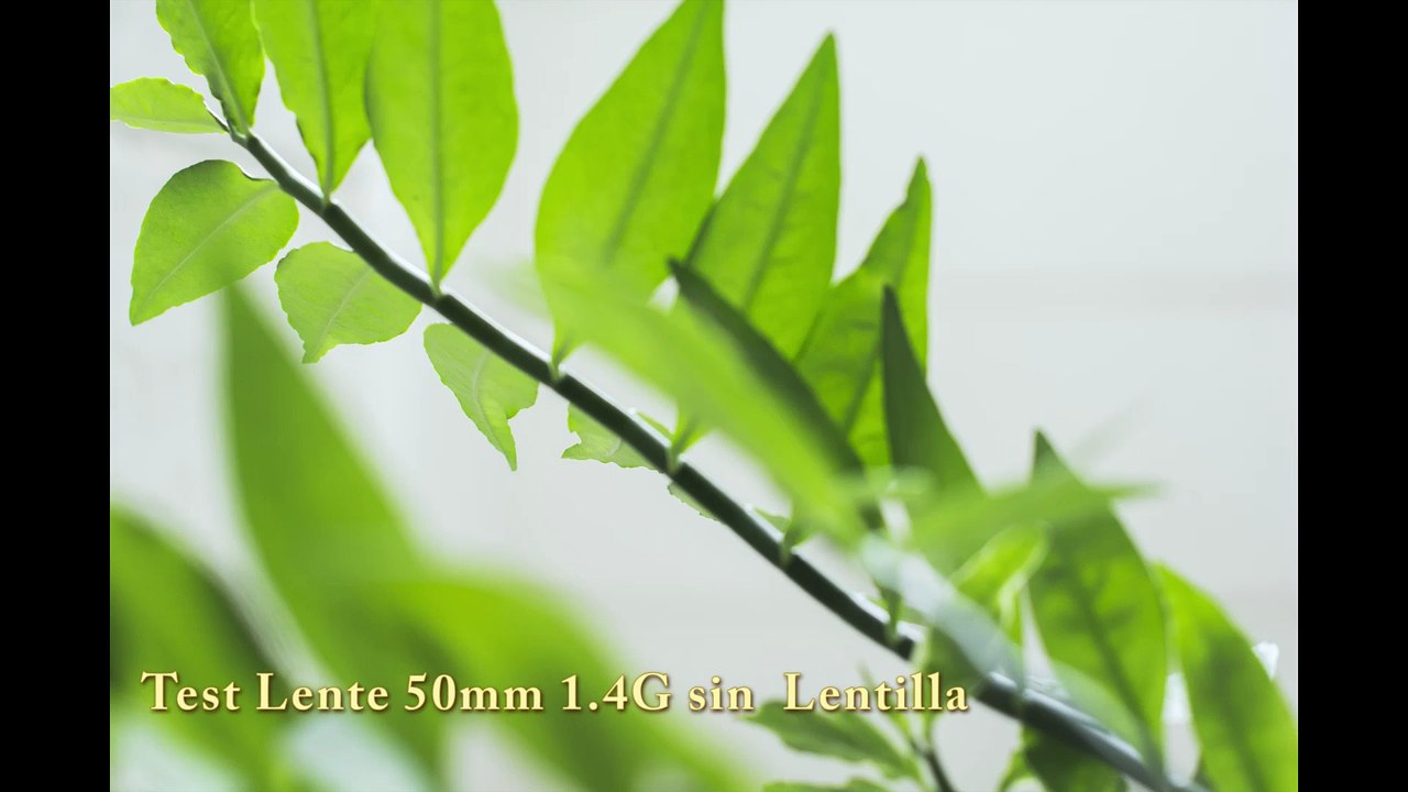 Unboxig Lentilla 2.2x High Definition AF Telephoto Lens