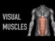 Visual Muscles: Upper Back - Upper Arm - Black Background