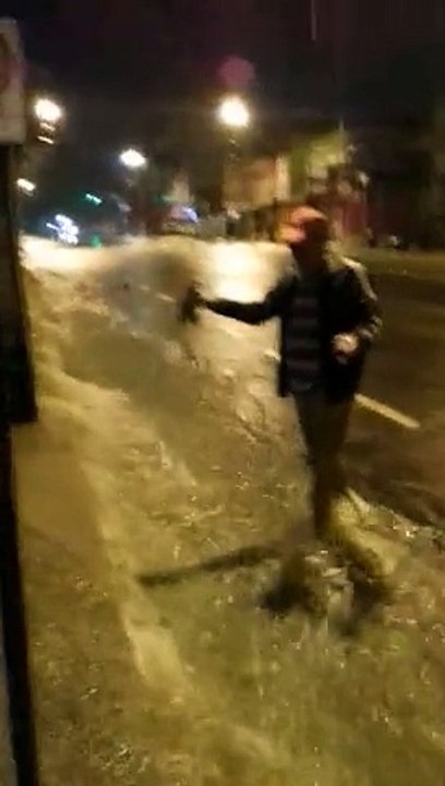 Chuva de peixes