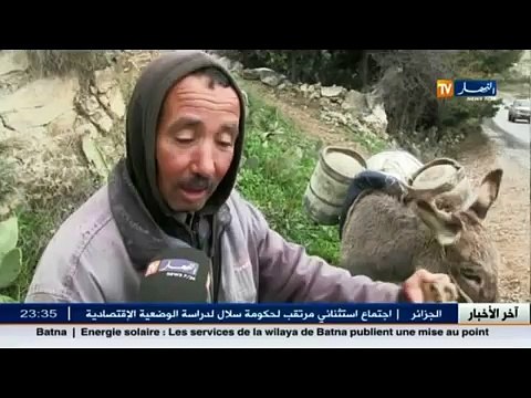 الأخبار المحلية - آخر أخبار الجزائر العميقة ليوم 17 جانفي 2016