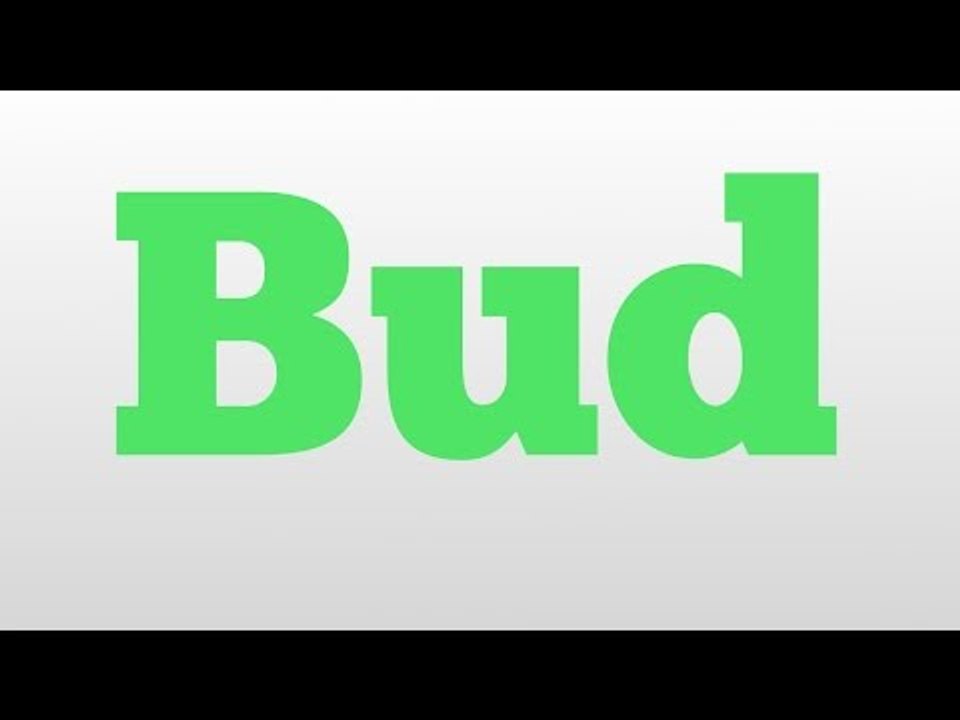 Bud meaning and pronunciation video Dailymotion