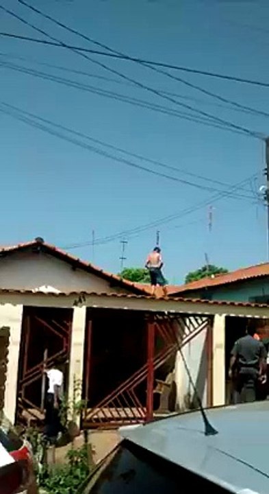 Cabra esperto