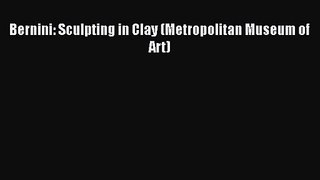 [PDF Download] Bernini: Sculpting in Clay (Metropolitan Museum of Art) [PDF] Online