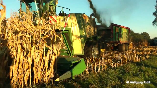 Fendt Katana und Krone BigX V12 am Mais häckseln Fendt, John Deere, Massey Ferguson