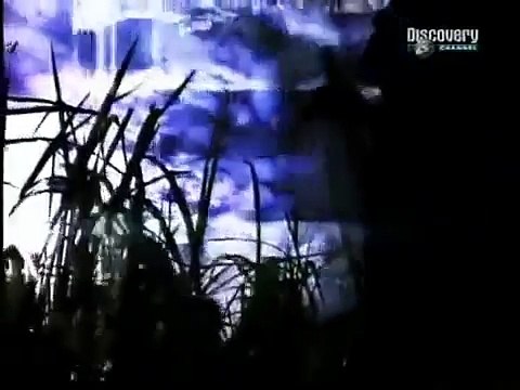 Serial Killers - Luis Garavito (The Beast) - Documentary