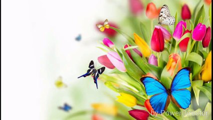 Kumar sanu nice song