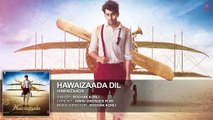 Hawaizaada Dil Full Audio Song | Ayushmann Khurrana | Hawaizaada | Rochak Kohli
