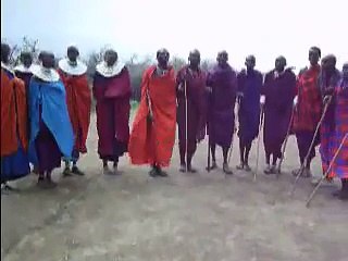 Masai Cultural Dancers of Kenya