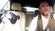 dog and owner duet Funny Video