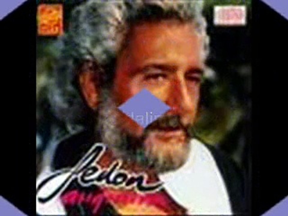 fedon nerdesin