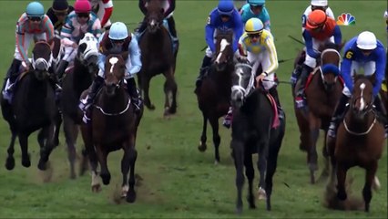 2015 Breeders Cup