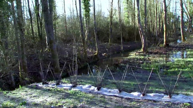 ballades à l espace naturel les ballastieres d aire sur la lys