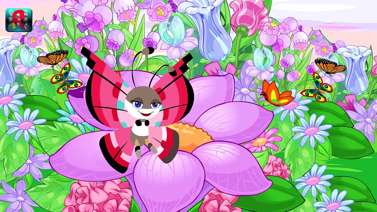 Butterfly, Butterfly Whence Do You Come