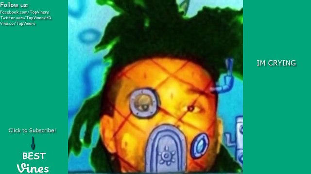 SpongeBob Ruined Vine Compilation (Voice Over) - All SpongeBob Ruined Vines | BEST VINES ✔