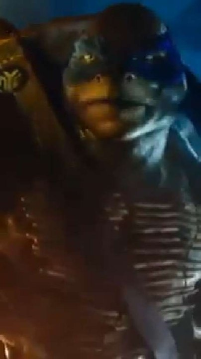 TEENAGE MUTANT NINJA TURTLES - Official Character Motion Posters (2014) [HQ]