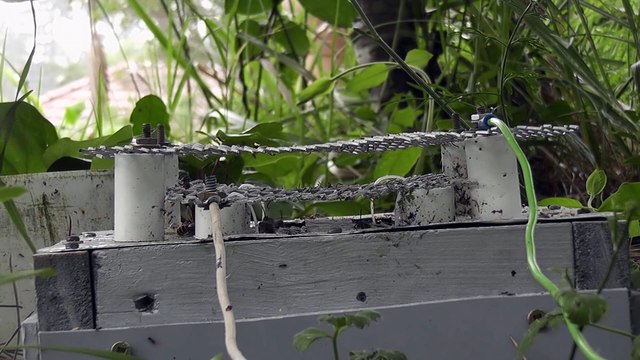 Un piège à guêpe électrique : 5600 volt branché à l'entrée du nid!