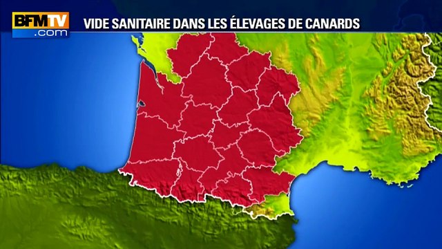 Grippe aviaire: l'Etat oblige les élevages à vider leurs exploitations