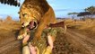 Documentary Animals African _ Wild Lions Animals_ National Geographic Animals HD
