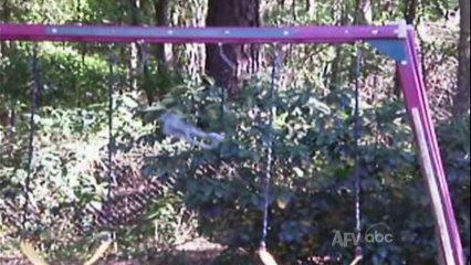 America s Funniest Home Videos (2011)