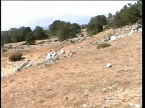 Le Mont Ventoux et le Mont Serein # 2/2