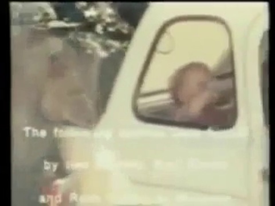 Fatal lion attack causes lifeloss of a person –