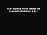 [PDF Download] Figure Sculpting Volume 1: Planes and Construction Techniques in Clay [PDF]