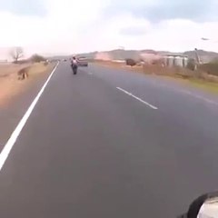 girl riding heavy bike -one wheeling