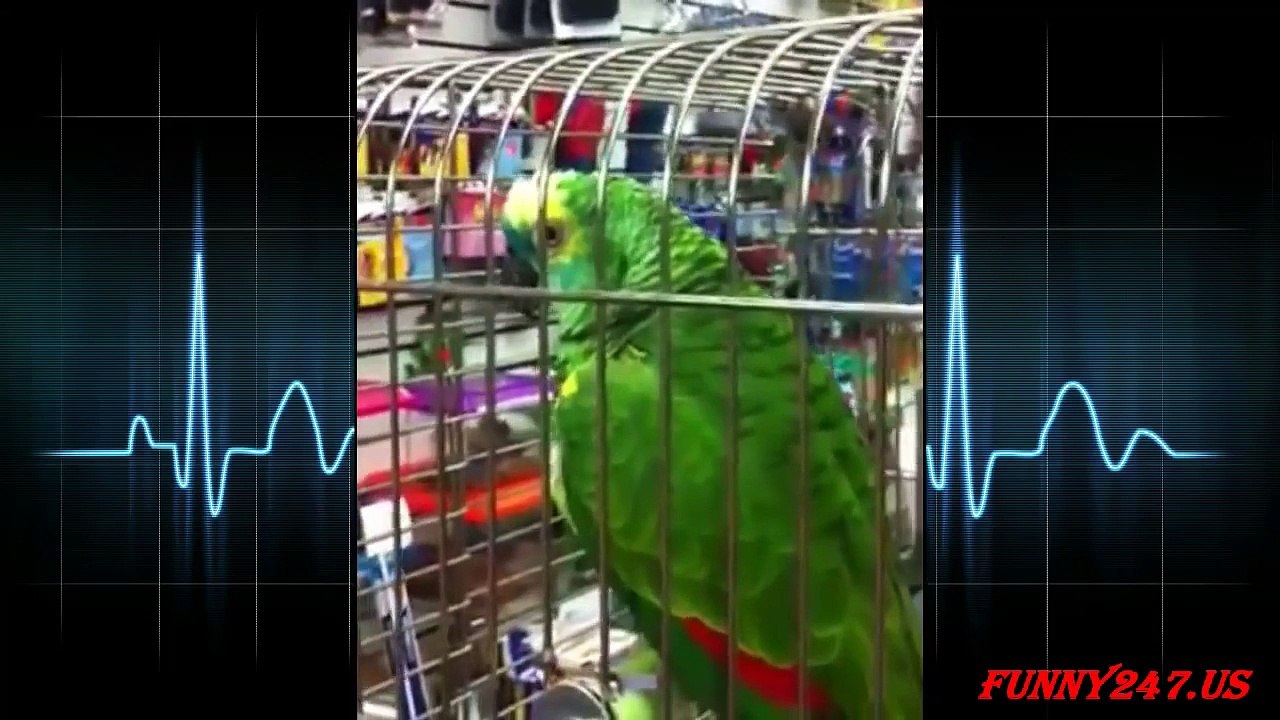 Parrot crying poor thing