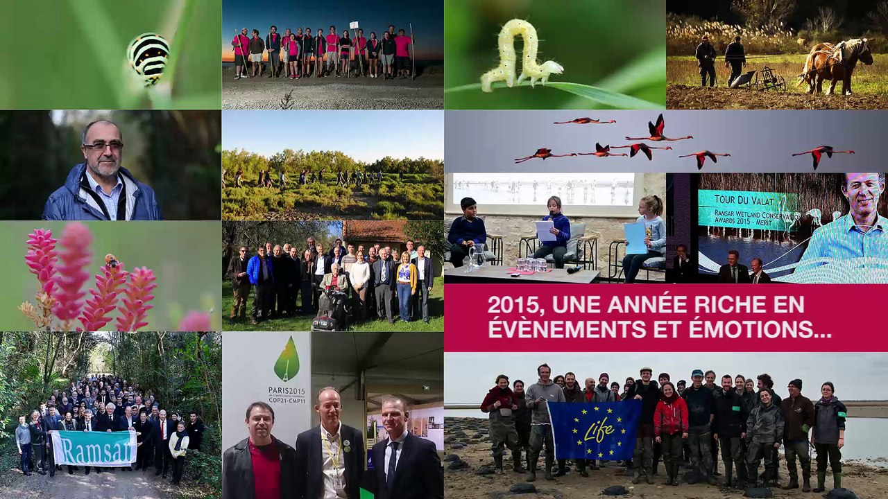 Meilleurs vœux 2016