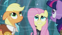 MLP: Friendship is Magic No Matter Our Differences, Were all Ponies Poniaffirmation