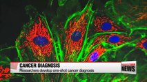 Researchers develop one-shot cancer diagnosis