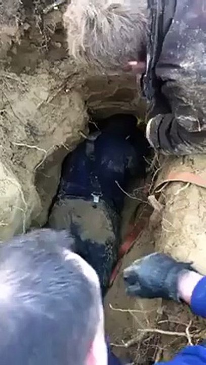 Sauvetage de deux chiens bloqués depuis une semaine dans un terrier