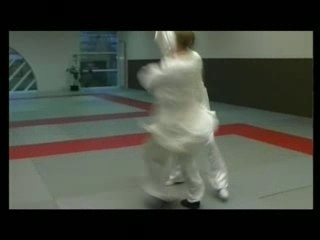 TAIJI QUAN Vol. 2 L'homme moderne de l'école Yang