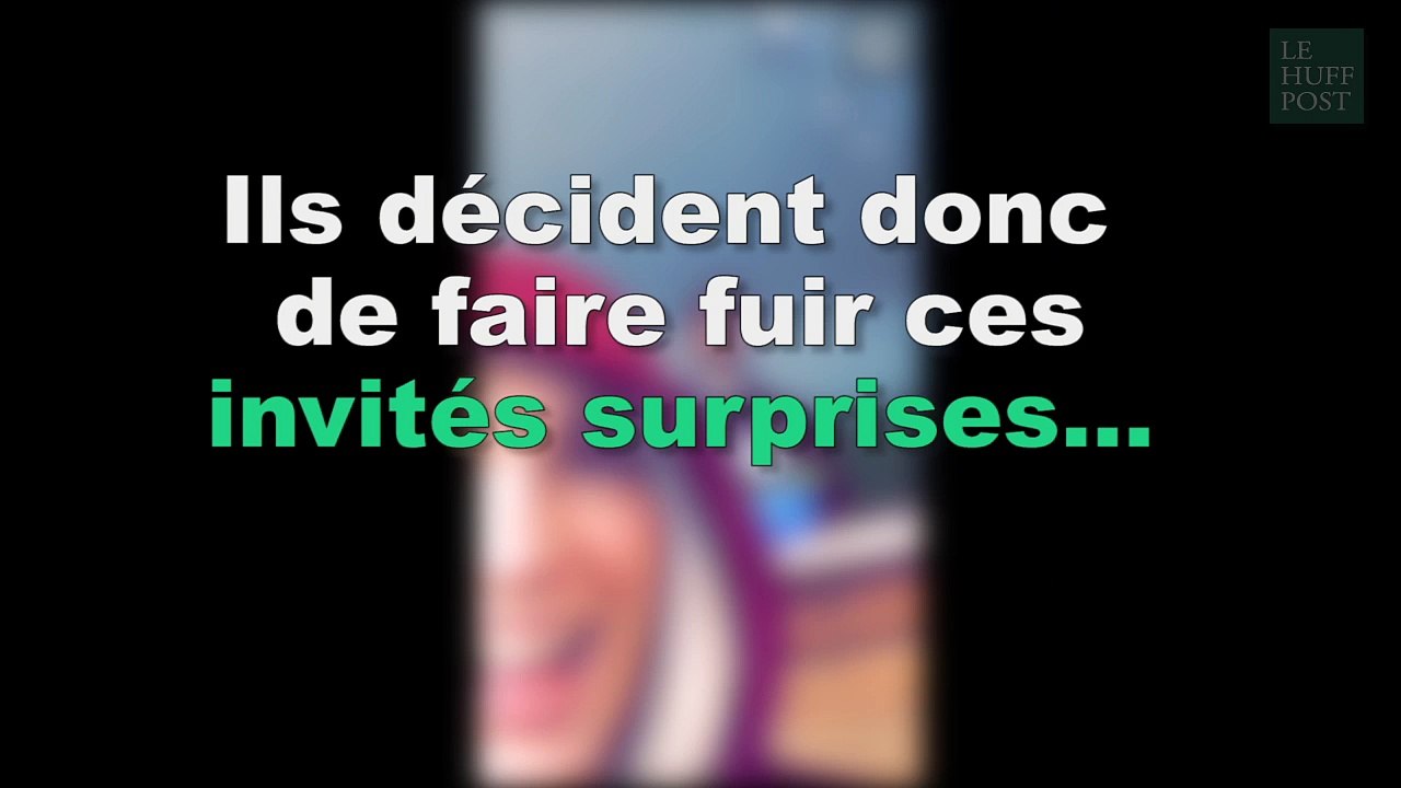 Natoo et Kemar  piègent des fans trop encombrants