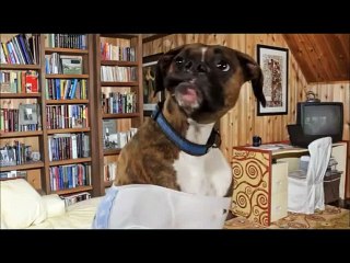 Anniversaire Catherine 2016