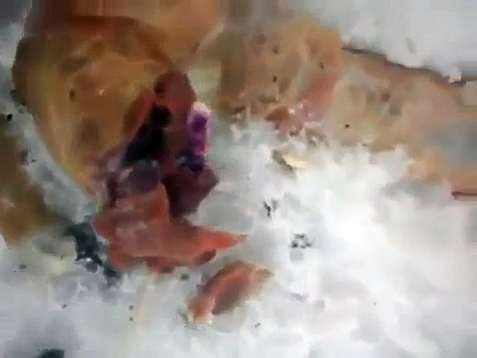 Dead alien found in UFO hotspot in Russia ; With translation REVIEW