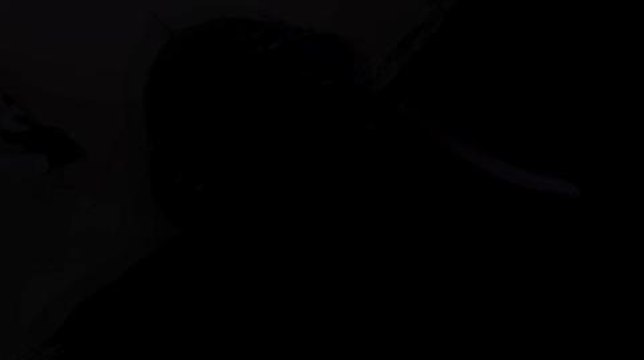 Tráiler de Transformers: La Caída de Cybertron en HobbyNews.es