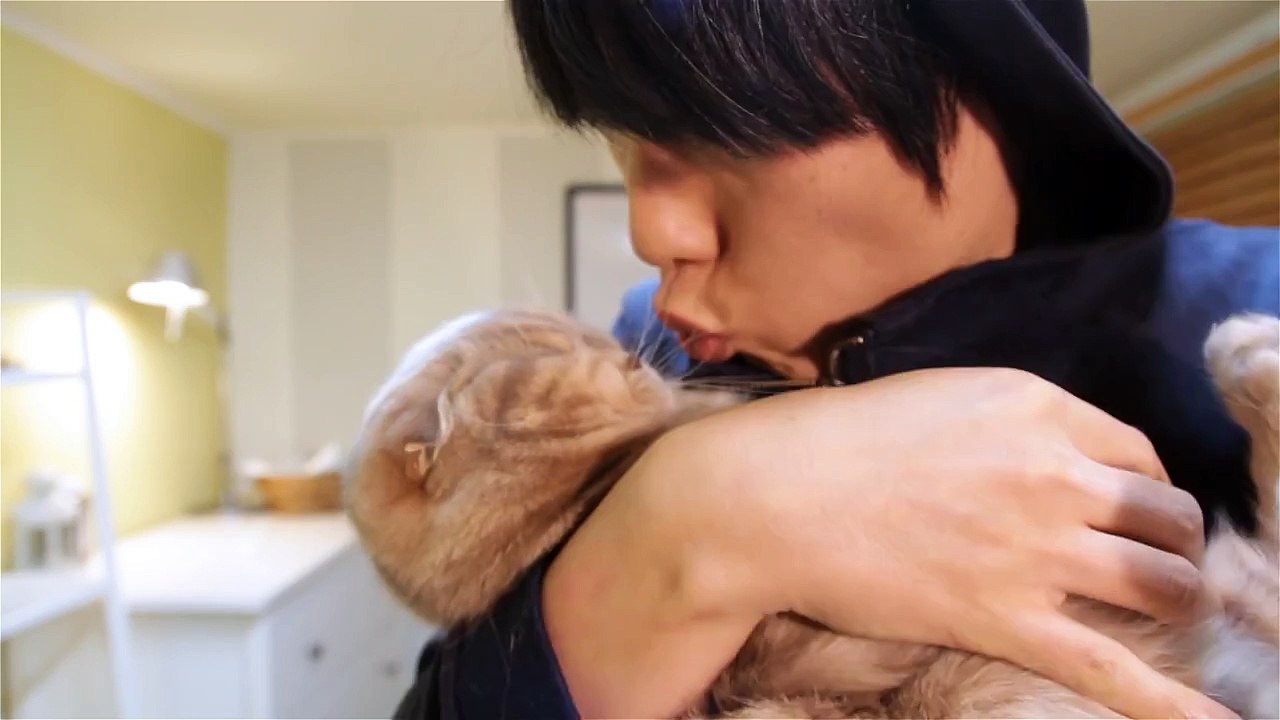 고양이에게 뽀뽀를 했을때 반응은? Kissing a Cat 猫にキスをしたときの反応 [SURI&NOEL]