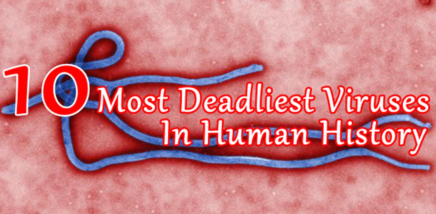 10 Most Deadliest Viruses In Human History