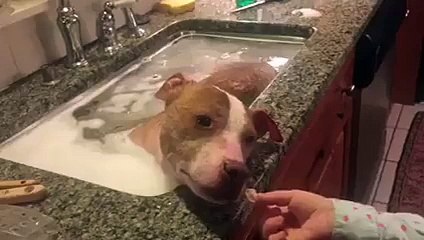 Apres avoir été battu, il retrouve une famille aimante