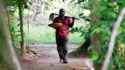 Sansibar: Bio-Gewürze als Einkommensquelle | Global 3000