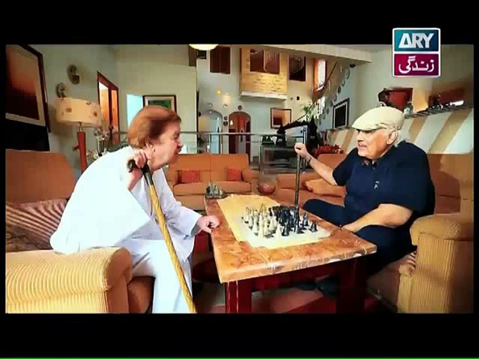 Bay Gunnah Episode 67 on Ary Zindagi - 17th January 2016