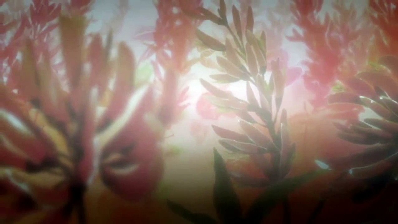 Samurai Champloo 14 Eng  サムライチャンプルー Samurai Chanpurū