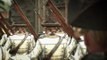 Gameplay de Assassin's Creed 4 Black Flag, Bajo la Bandera Negra, en HobbyConsolas.com
