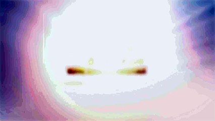 L1 - L'équipe-type de la 21e journée