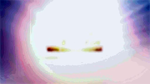 L1 - L'équipe-type de la 21e journée