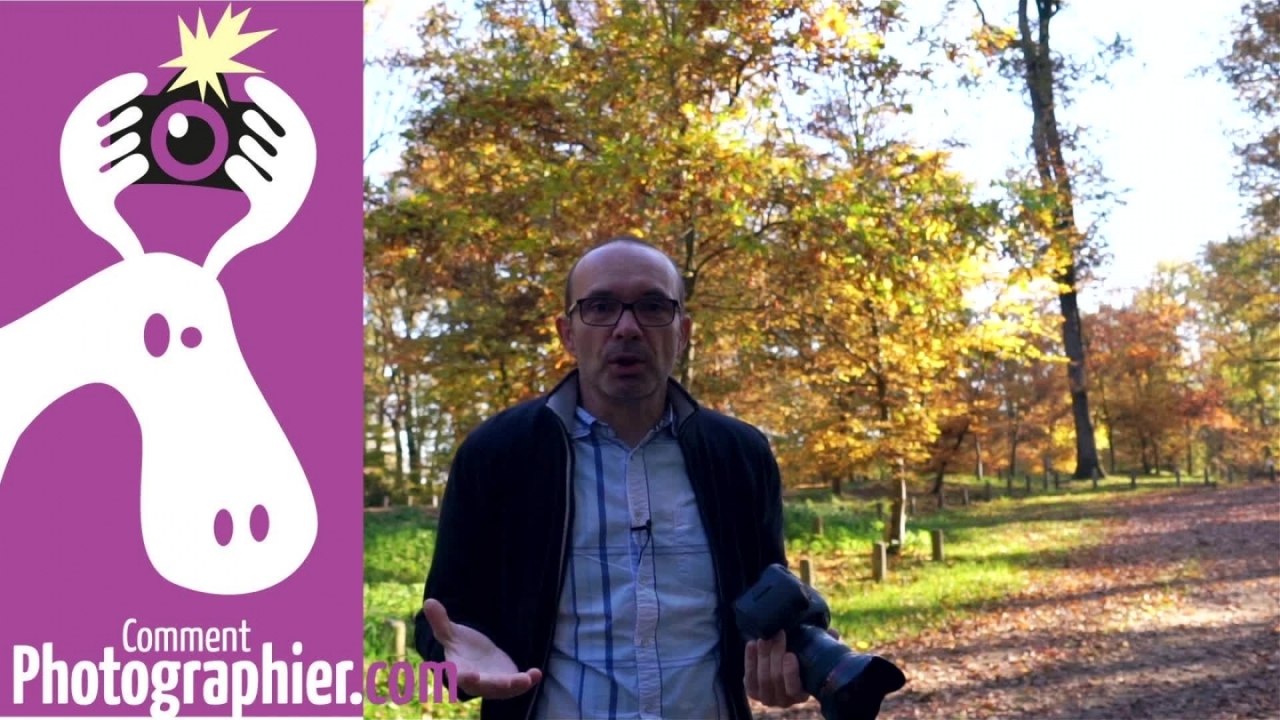 Comment photographier l'automne